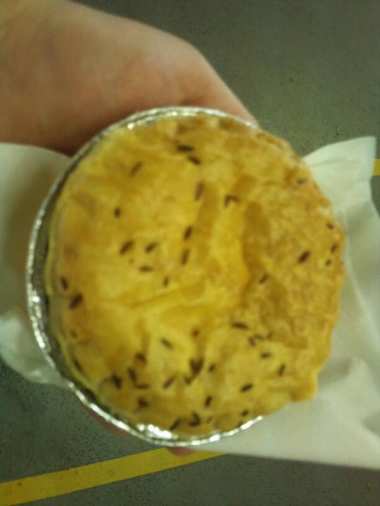 Wolves- August 22 2011